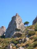 Insel Ischia. Felswand