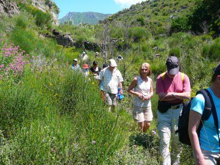 Insel Ischia. Wanderweg. Wandergruppe