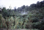 Casamicciola Terme. Fumarole