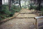 Casamicciola Terme. Sentieri trekking