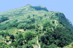 Ischia. Epomeo Wanderweg