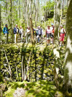 Wanderung mit dem Geologen auf Ischia