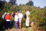 Isola d'Ischia. Trekking