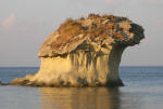 Insel Ischia. Der Pilz