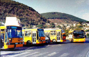 Insel Ischia. Busse der Linie EAV