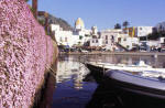 Forio d'Ischia. Porto