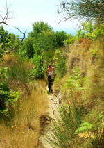 Ischia. Gita trekking