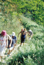 Insel Ischia. Wanderung auf gut ausgebaute Wanderwege