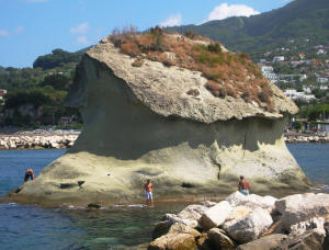 Isola d'Ischia. Fungo a Lacco Ameno