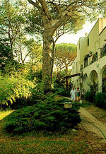 Insel Ischia. Ferienwohnung