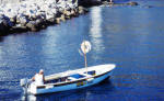 Isola d'Ischia. Taxiboot