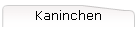 Kaninchen