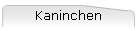 Kaninchen