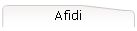 Afidi