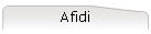 Afidi