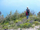 Insel Ischia. Wanderer