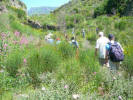 Isola d'Ischia. Sentiero trekking