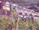 Forio d'Ischia. Residence