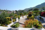Barano d'Ischia. Villa Lesto. Esterno