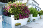 Barano d'Ischia. Villa Lesto. Ferienwohnung-Eingang